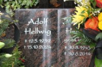 ein Bild aus dem Album