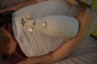 ein Bild aus dem Album