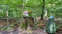 ein Bild aus dem Album